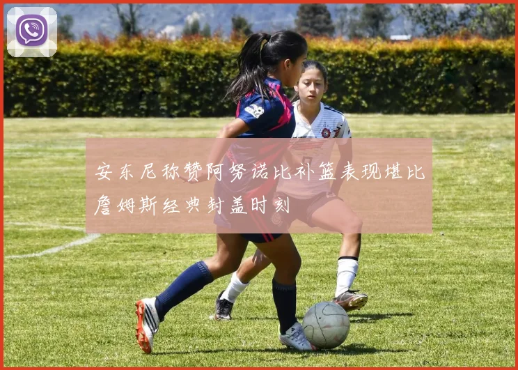 安东尼称赞阿努诺比补篮表现堪比詹姆斯经典封盖时刻